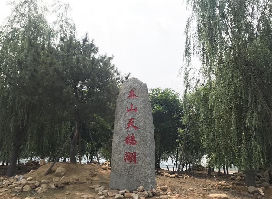 天鵝湖風(fēng)景區(qū)（泰山）速覽！(圖12)